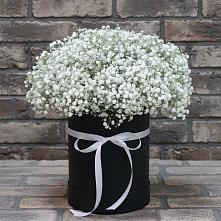 Цветочная композиция из Гипсофила в шляпной коробке в Калиновке Курской области