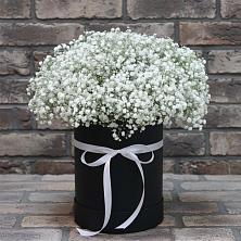 Цветочная композиция из Гипсофила в шляпной коробке в Калиновке Курской области