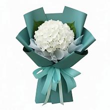 Букет цветов из:  Гортензия #REPLACE_PRED# Калиновке Курской области